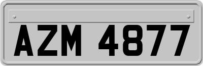 AZM4877