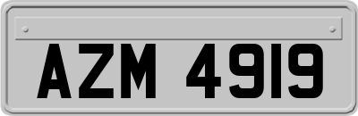 AZM4919