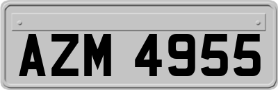AZM4955