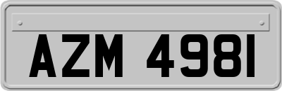 AZM4981