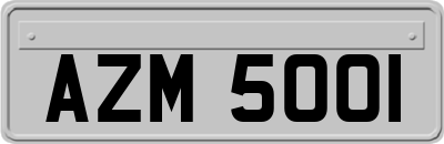 AZM5001