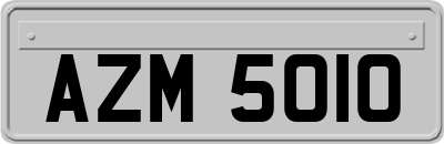 AZM5010