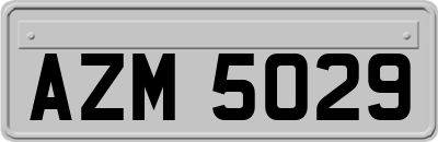 AZM5029