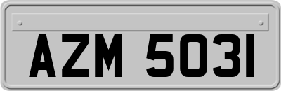 AZM5031