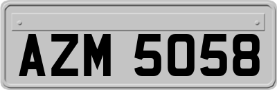 AZM5058