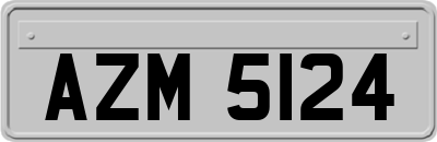 AZM5124