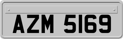 AZM5169