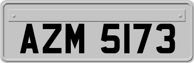 AZM5173