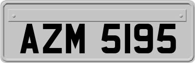 AZM5195