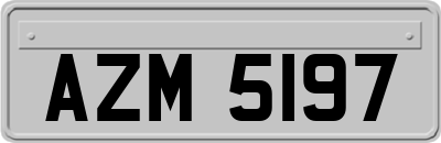 AZM5197