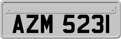 AZM5231