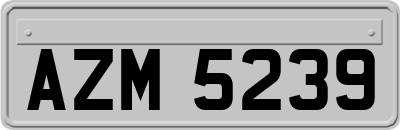 AZM5239