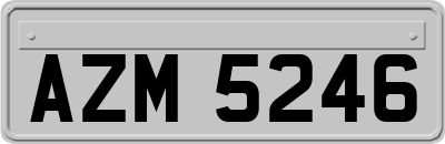 AZM5246