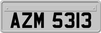 AZM5313