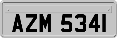 AZM5341