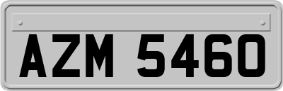 AZM5460