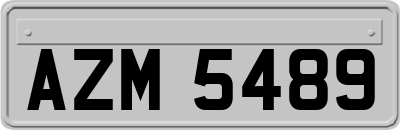 AZM5489