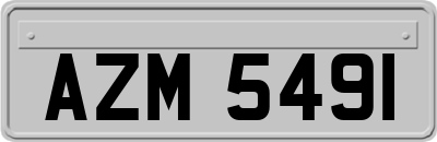 AZM5491