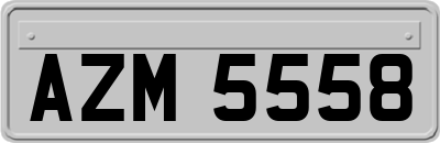 AZM5558