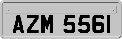 AZM5561