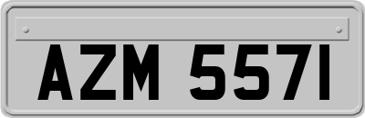 AZM5571