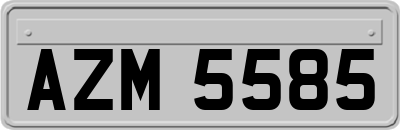 AZM5585