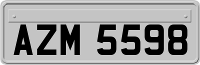 AZM5598