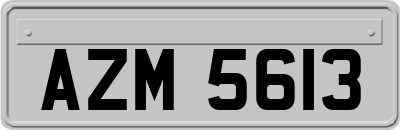 AZM5613