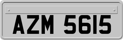 AZM5615
