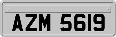 AZM5619