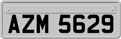 AZM5629