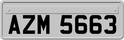 AZM5663