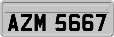 AZM5667
