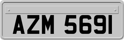 AZM5691