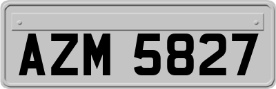 AZM5827
