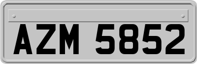 AZM5852