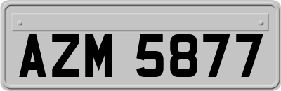 AZM5877