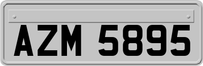 AZM5895