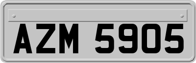 AZM5905