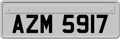 AZM5917