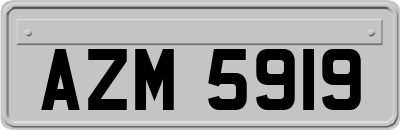 AZM5919