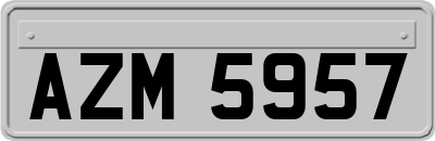 AZM5957