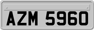 AZM5960