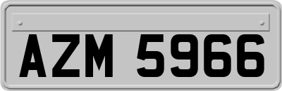 AZM5966