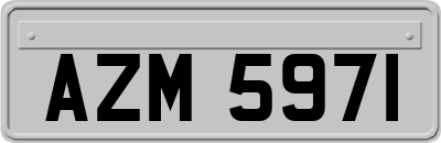 AZM5971