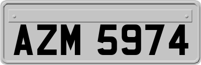 AZM5974