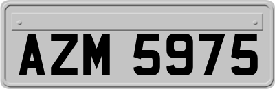 AZM5975