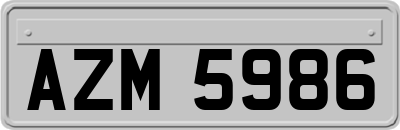 AZM5986