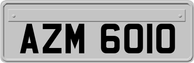 AZM6010