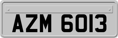 AZM6013